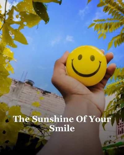 Cover image for The Sunshine Of Your Smile