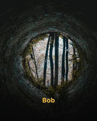 Cover image for Bob