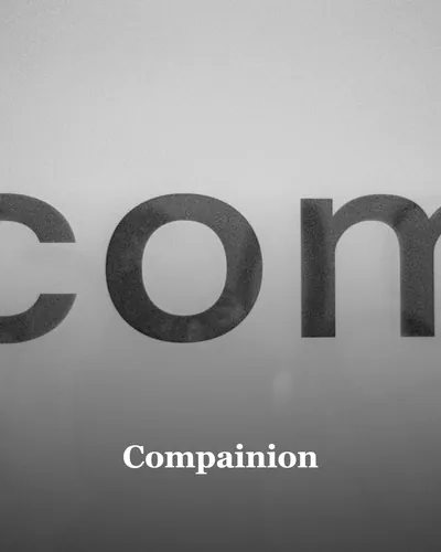 Cover image for Compainion