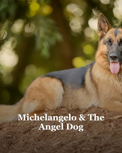 Cover image for Michelangelo & The Angel Dog