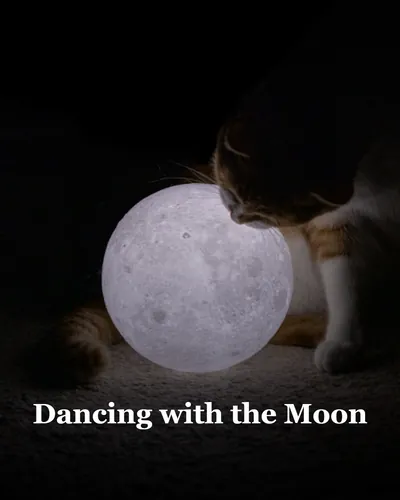 Cover image for Dancing with the Moon
