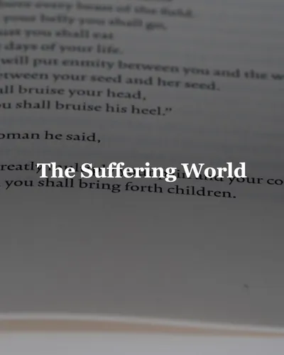 Cover image for The Suffering World