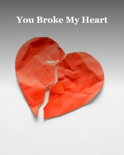 Cover image for You Broke My Heart