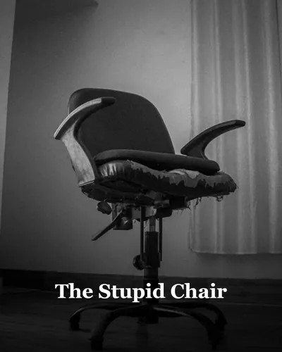 Cover image for The Stupid Chair