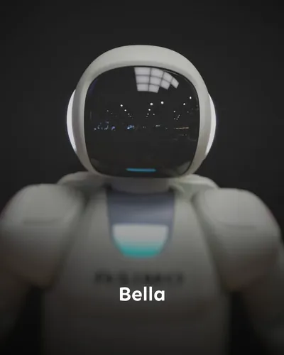 Cover image for Bella