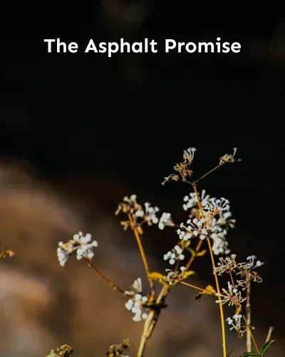 Cover image for The Asphalt Promise
