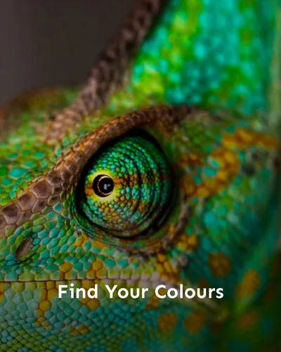 Cover image for Find Your Colours