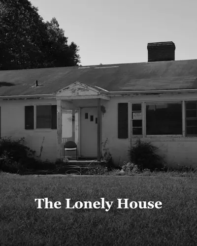 Cover image for The Lonely House