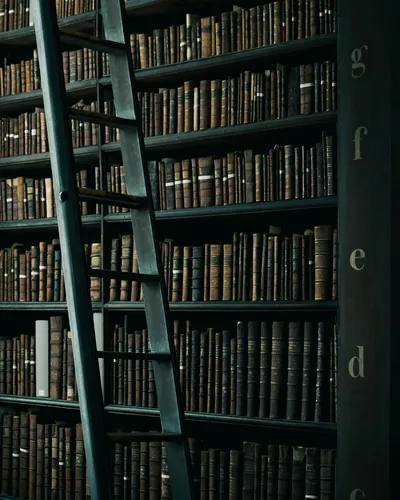 Cover image for The Library For Everyone