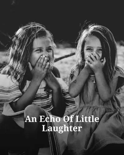 Cover image for An Echo Of Little Laughter