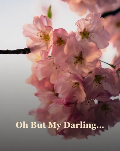 Cover image for Oh But My Darling…