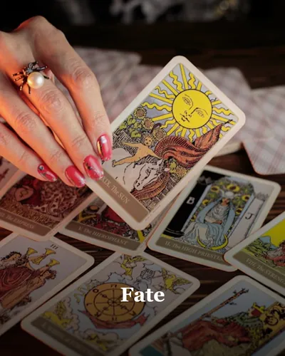 Cover image for Fate