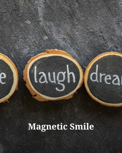 Cover image for Magnetic Smile