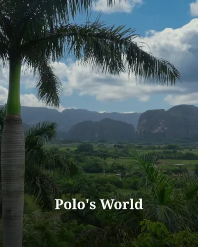Polo's World