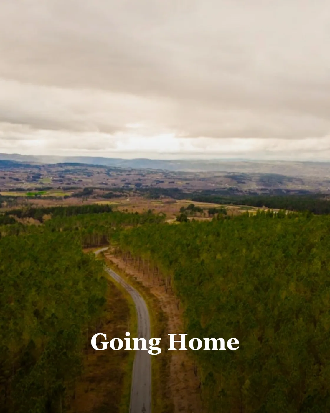an aerial view of a dirt road in the middle of a forest