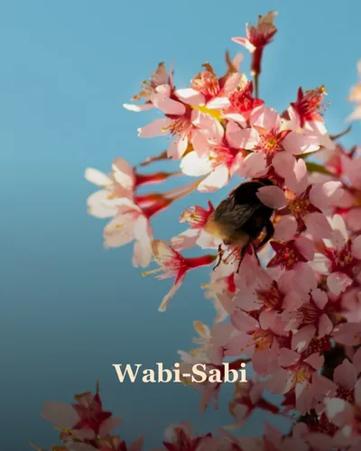 Cover image for Wabi-Sabi