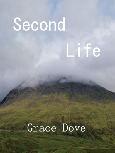 Cover image for Second Life