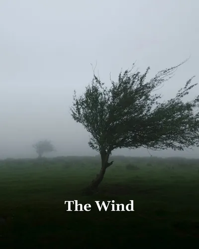 Cover image for The Wind