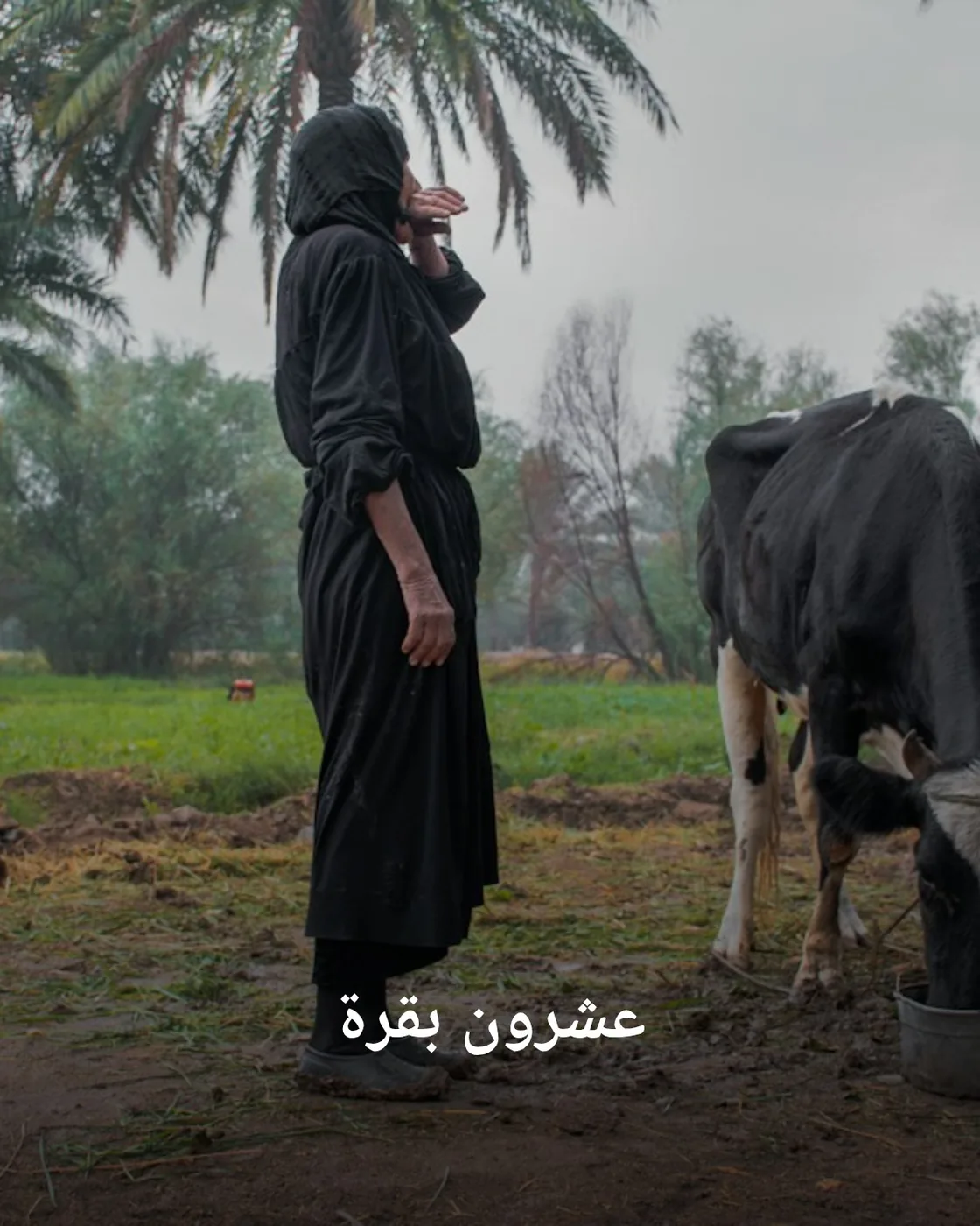 a woman standing next to a cow in a field