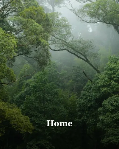 Image de couverture pour Home
