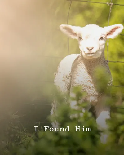 Cover image for I Found Him