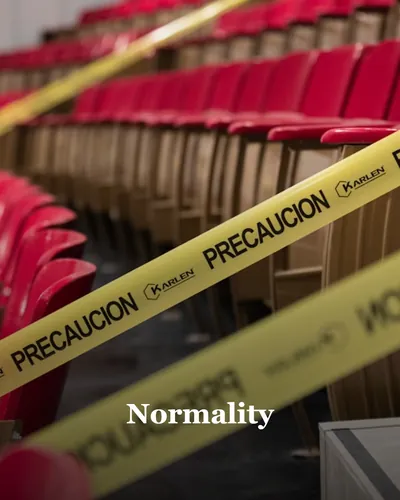 Cover image for Normality