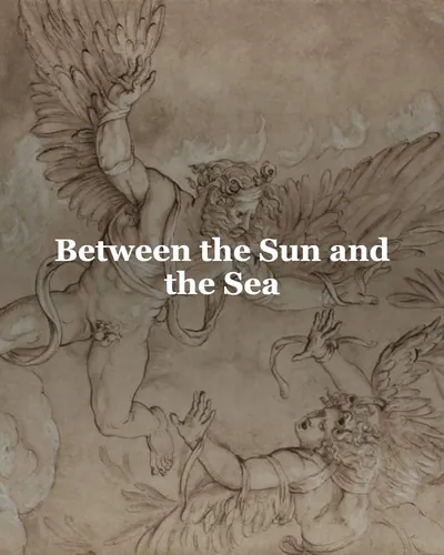 Cover image for Between the Sun and the Sea