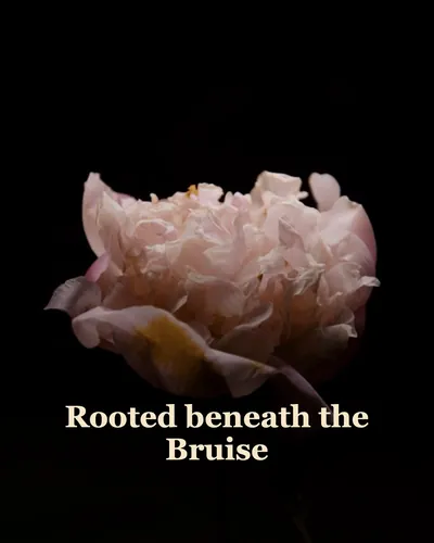 Cover image for Rooted beneath the Bruise