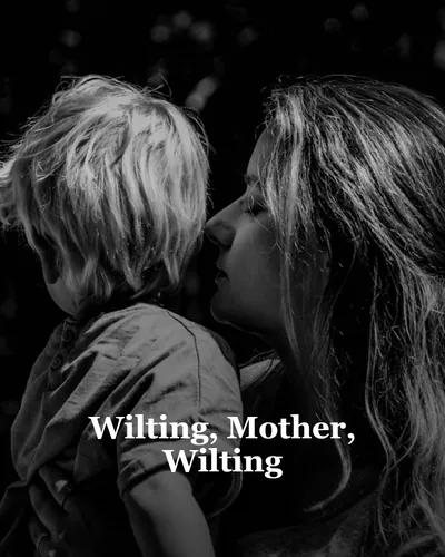 Cover image for Wilting, Mother, Wilting