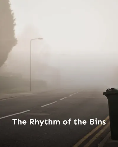 Cover image for The Rhythm of the Bins