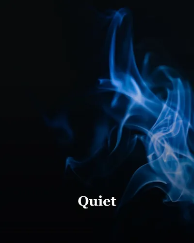 Cover image for Quiet