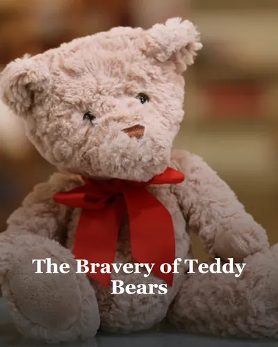 Cover image for The Bravery of Teddy Bears