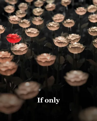 Cover image for If only