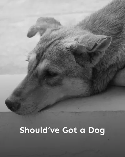 Cover image for Should’ve Got a Dog