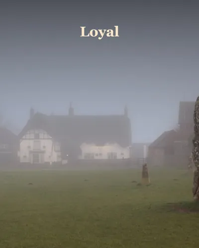 Cover image for Loyal