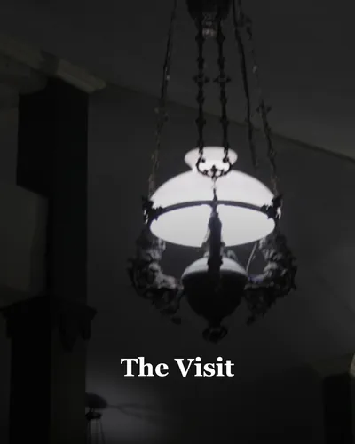 Cover image for The Visit