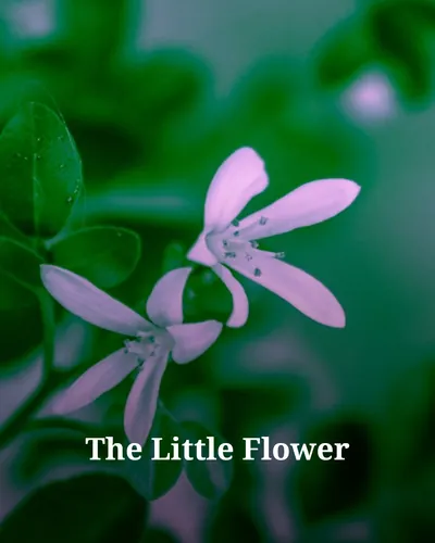 Cover image for The Little Flower