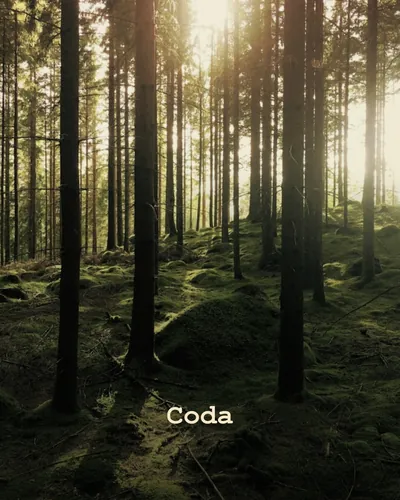 Cover image for Coda