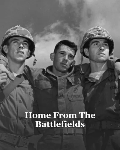 Cover image for Home From The Battlefields