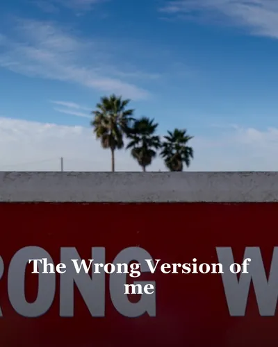 Cover image for The Wrong Version of me