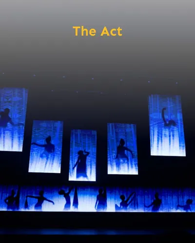Cover image for The Act