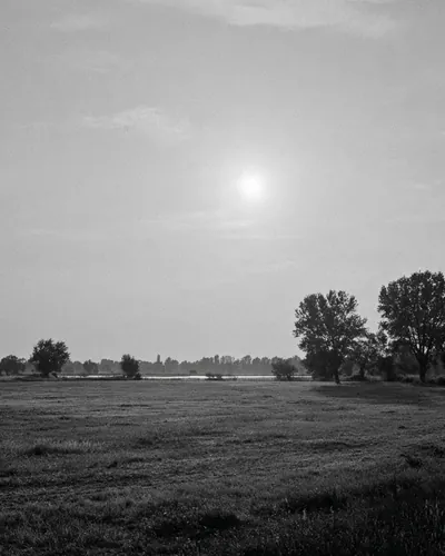 Cover image for A Promise in the Dark