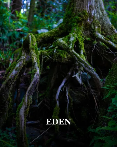 Cover image for EDEN