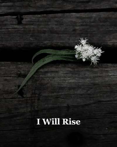 Cover image for I Will Rise