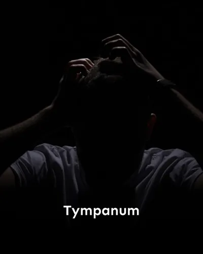 Tympanum