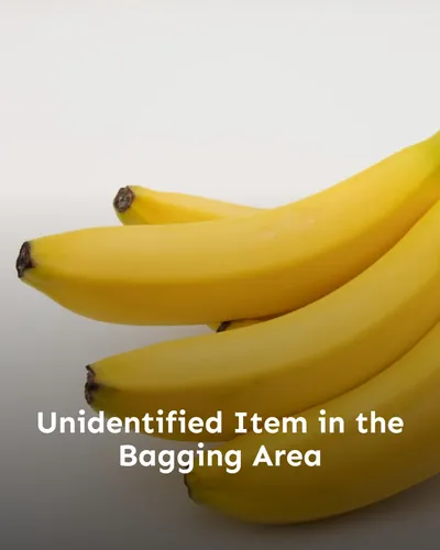 Cover image for Unidentified Item in the Bagging Area