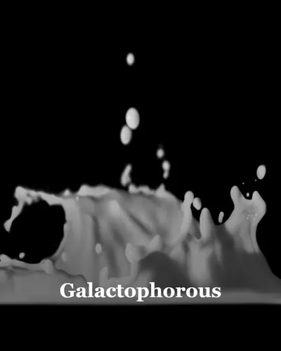 Cover image for Galactophorous