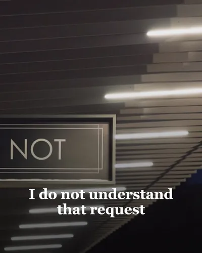 Cover image for I do not understand that request