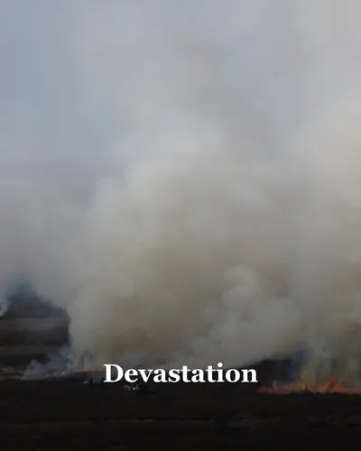 Cover image for Devastation