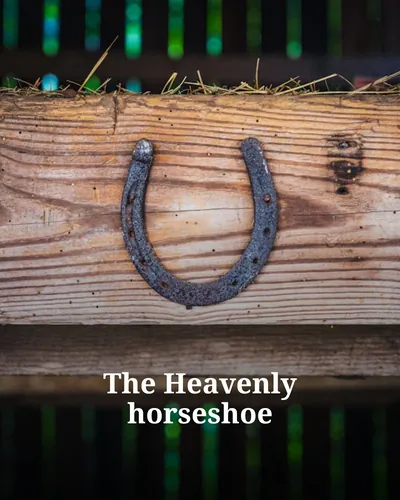 Cover image for The Heavenly horseshoe